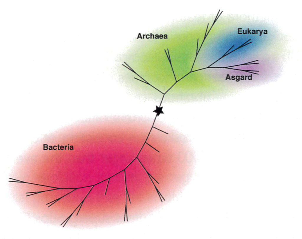 thesis on evolutionary biology